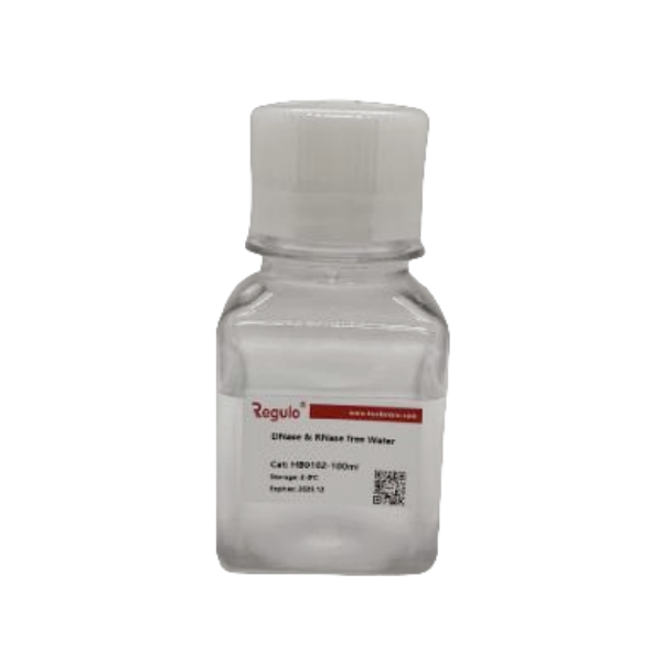无酶无菌水 高纯水 DNase & RNase free Water