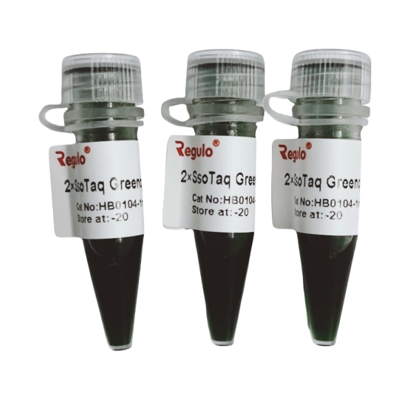 2× SsoTaq Green PCR Mix